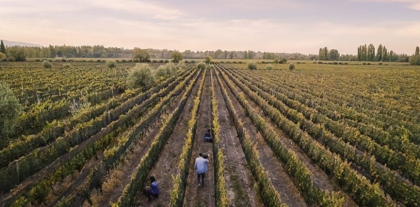 “La sustentabilidad dejó de ser un área técnica para convertirse en una decisión de negocio”