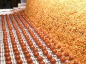 Ferrero destacó avances en trazabilidad, descarbonización y envases reciclables