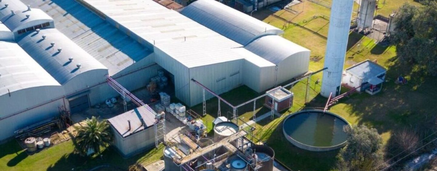 Sustentabilidad en Henkel: foco en la descarbonización, la circularidad y la innovación