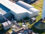 Sustentabilidad en Henkel: foco en la descarbonización, la circularidad y la innovación