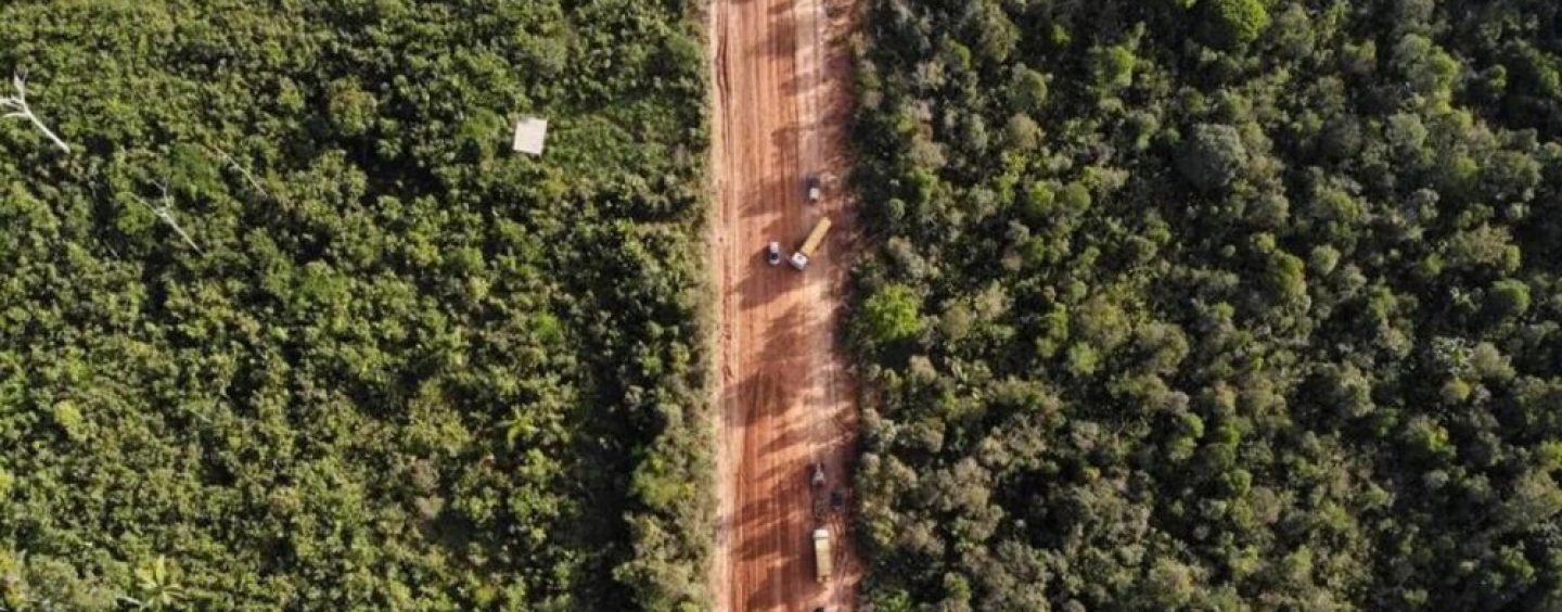 Consulta libre, previa e informada: desafíos en la autorización ambiental brasileña