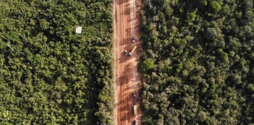 Consulta libre, previa e informada: desafíos en la autorización ambiental brasileña
