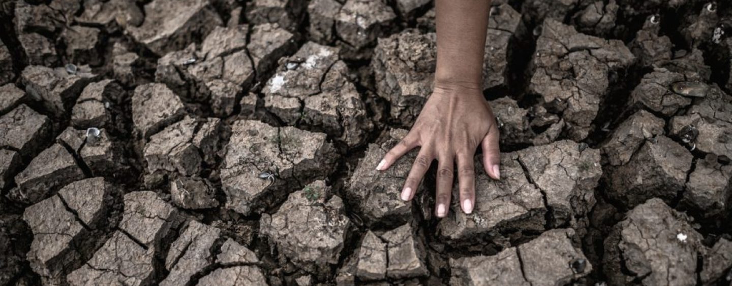 Organizaciones Resilientes: gestión del riesgo en un clima que cambia