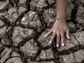 Organizaciones Resilientes: gestión del riesgo en un clima que cambia