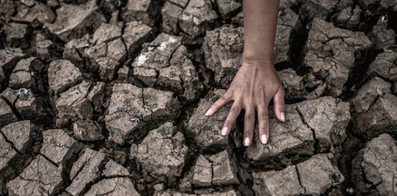 Organizaciones Resilientes: gestión del riesgo en un clima que cambia