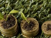 Más de 150 proyectos impulsan el mercado de carbono en Latinoamérica