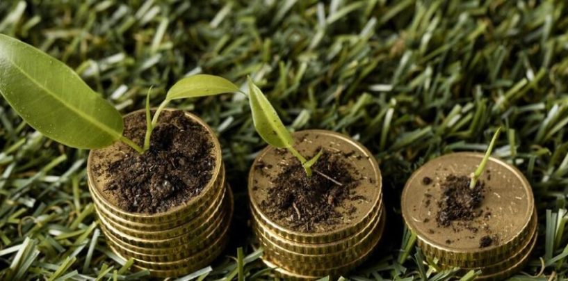 Más de 150 proyectos impulsan el mercado de carbono en Latinoamérica