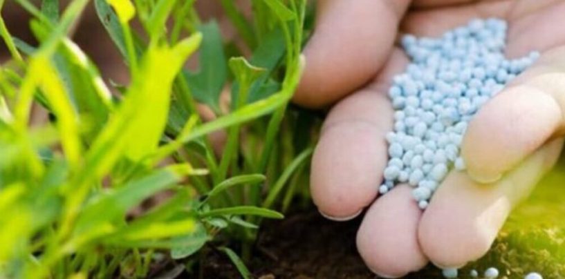 La urea puede cambiar la huella de carbono de los granos: el dato que busca el agro