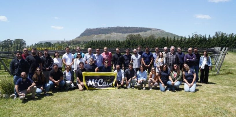 La agricultura regenerativa avanza entre los productores de papa de Balcarce