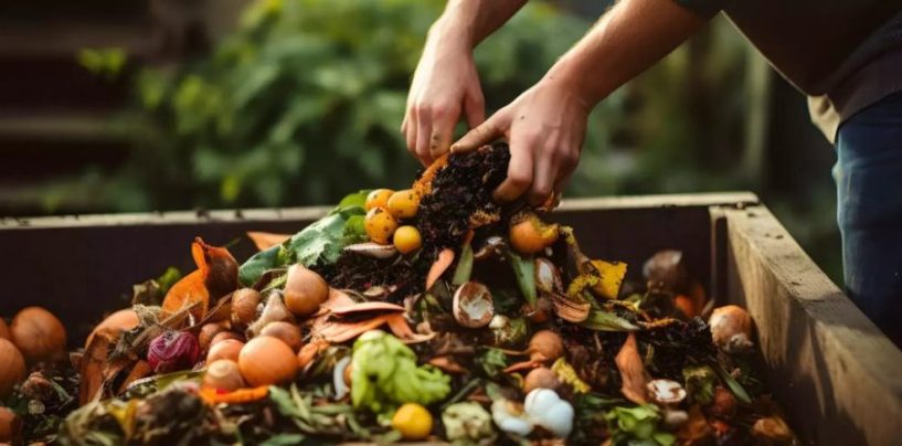 NESTLÉ impulsa acciones para reducir la pérdida y el desperdicio de alimentos