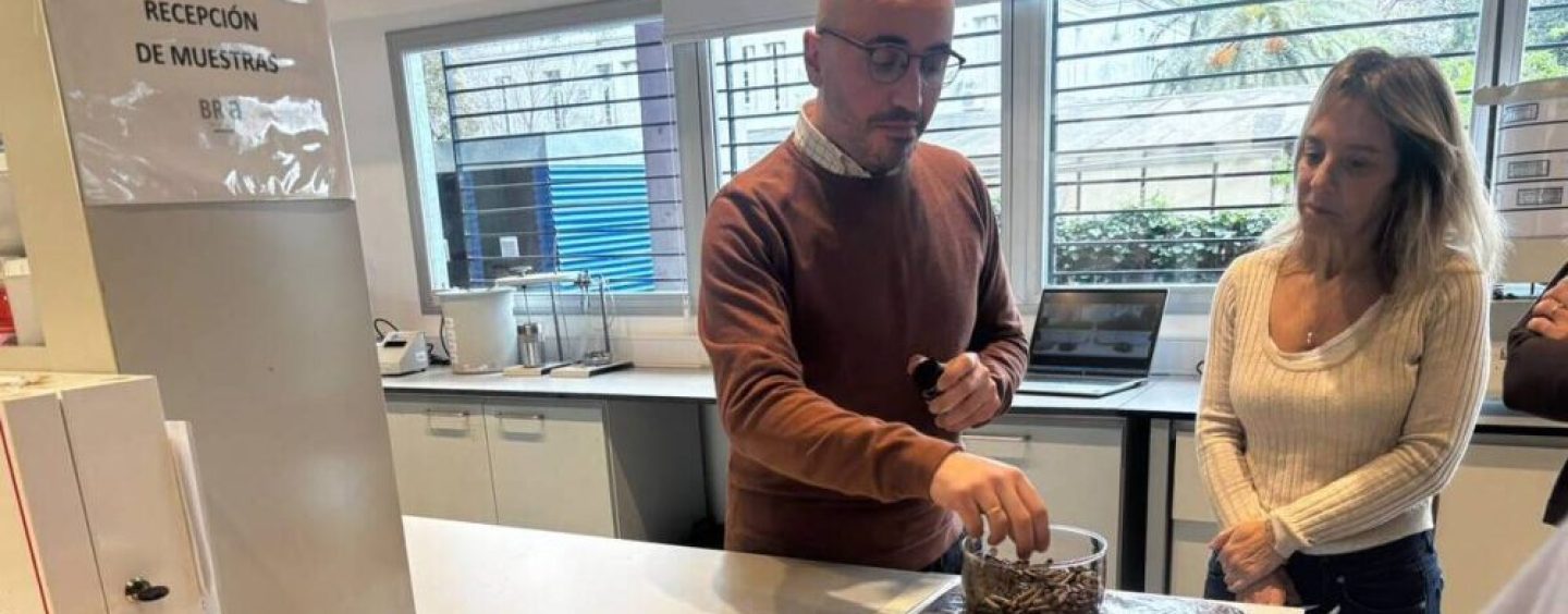 Los tres proyectos con los que Benito Roggio Ambiental busca transformar residuos en recursos
