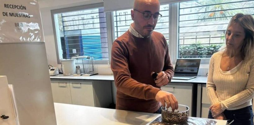 Los tres proyectos con los que Benito Roggio Ambiental busca transformar residuos en recursos