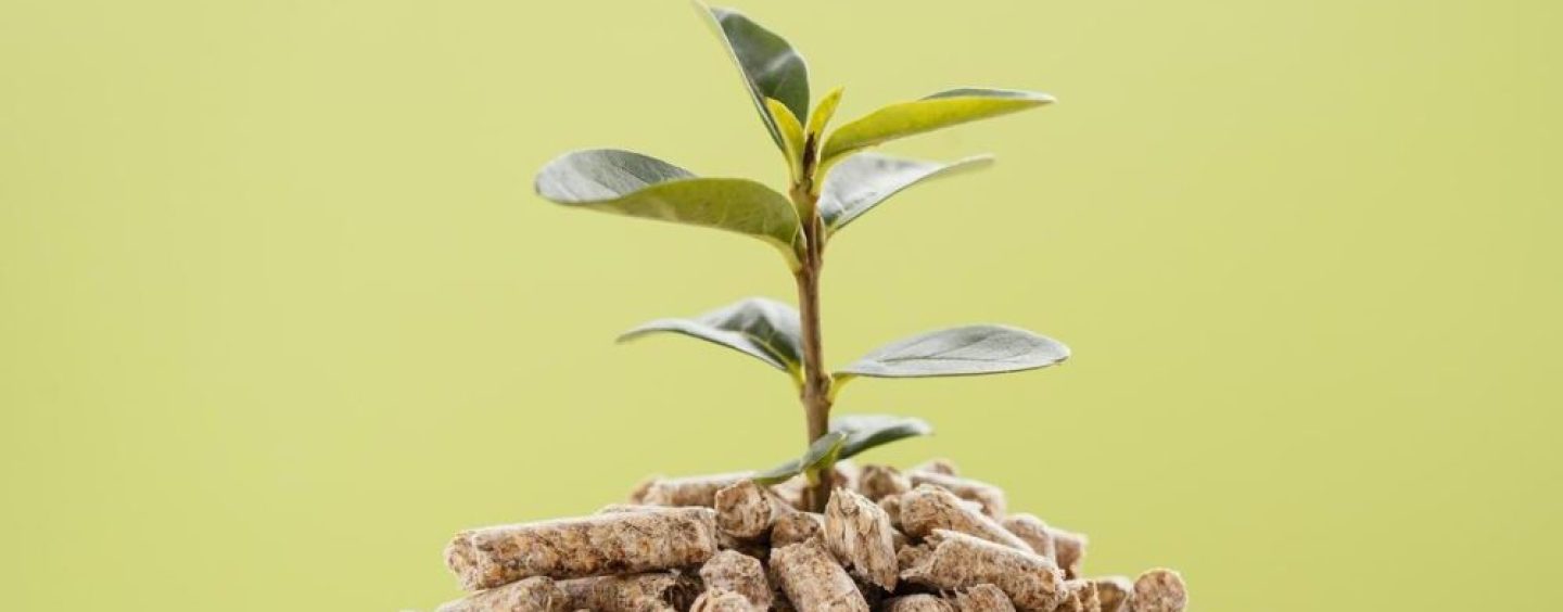 Córdoba busca convertir la basura en energía con una nueva planta de biogás