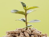 Córdoba busca convertir la basura en energía con una nueva planta de biogás