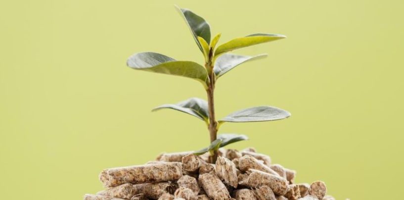 Córdoba busca convertir la basura en energía con una nueva planta de biogás