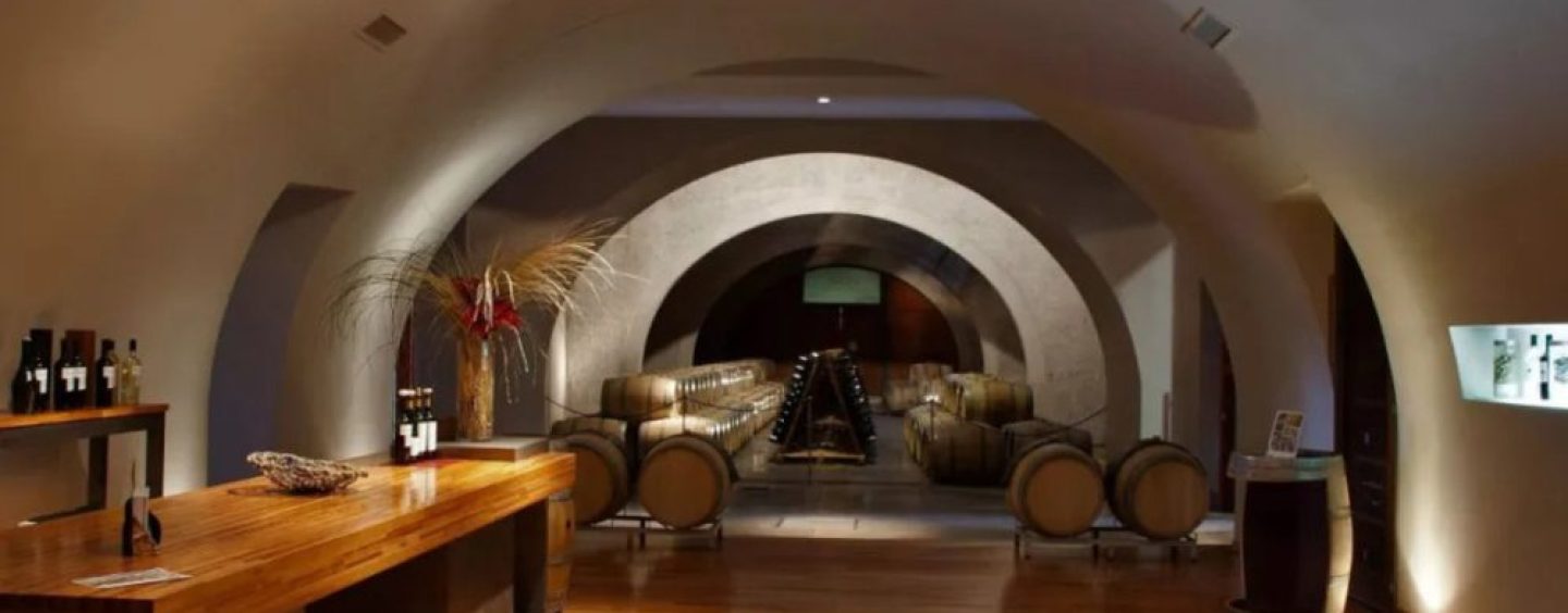 Bodega Malma apuesta por una vitivinicultura sustentable en la Patagonia