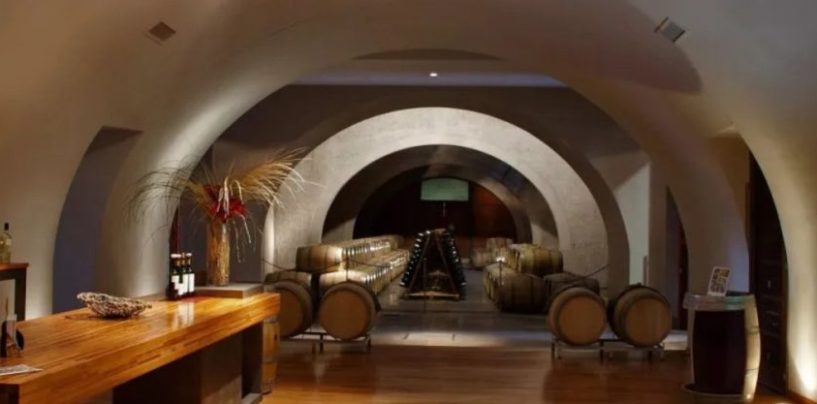 Bodega Malma apuesta por una vitivinicultura sustentable en la Patagonia