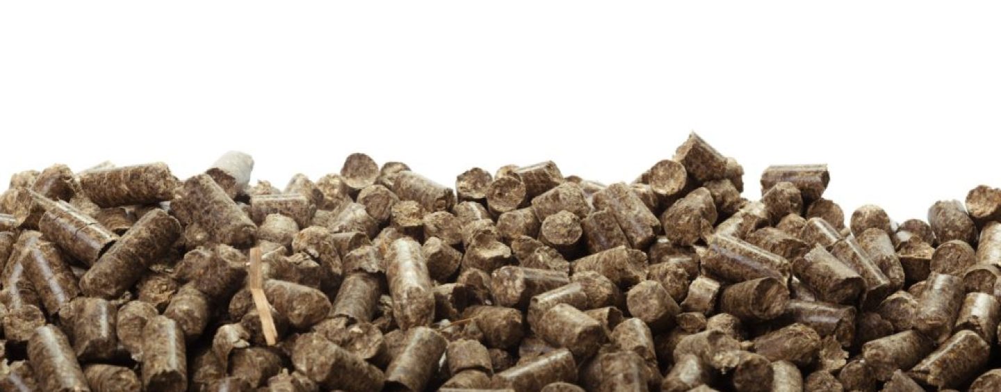 Pellets de madera: energía a partir de residuos forestales