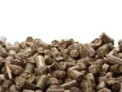 Pellets de madera: energía a partir de residuos forestales