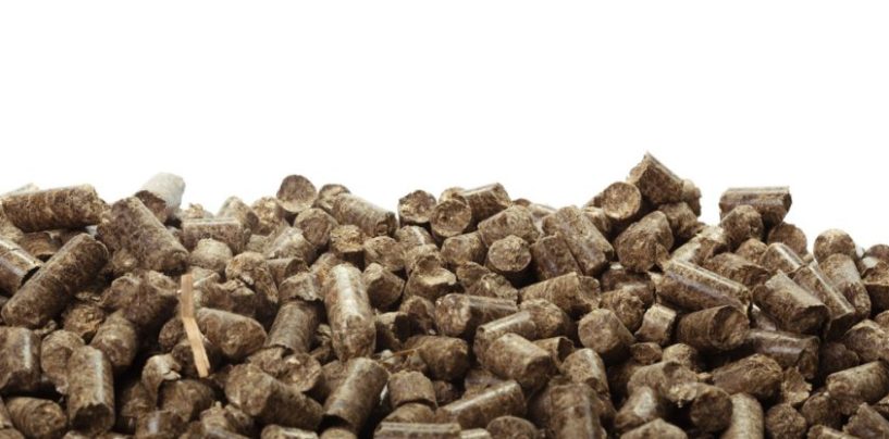 Pellets de madera: energía a partir de residuos forestales