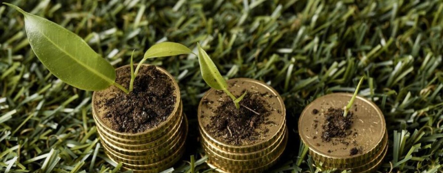 BYMA reforzó su agenda de sustentabilidad en 2025